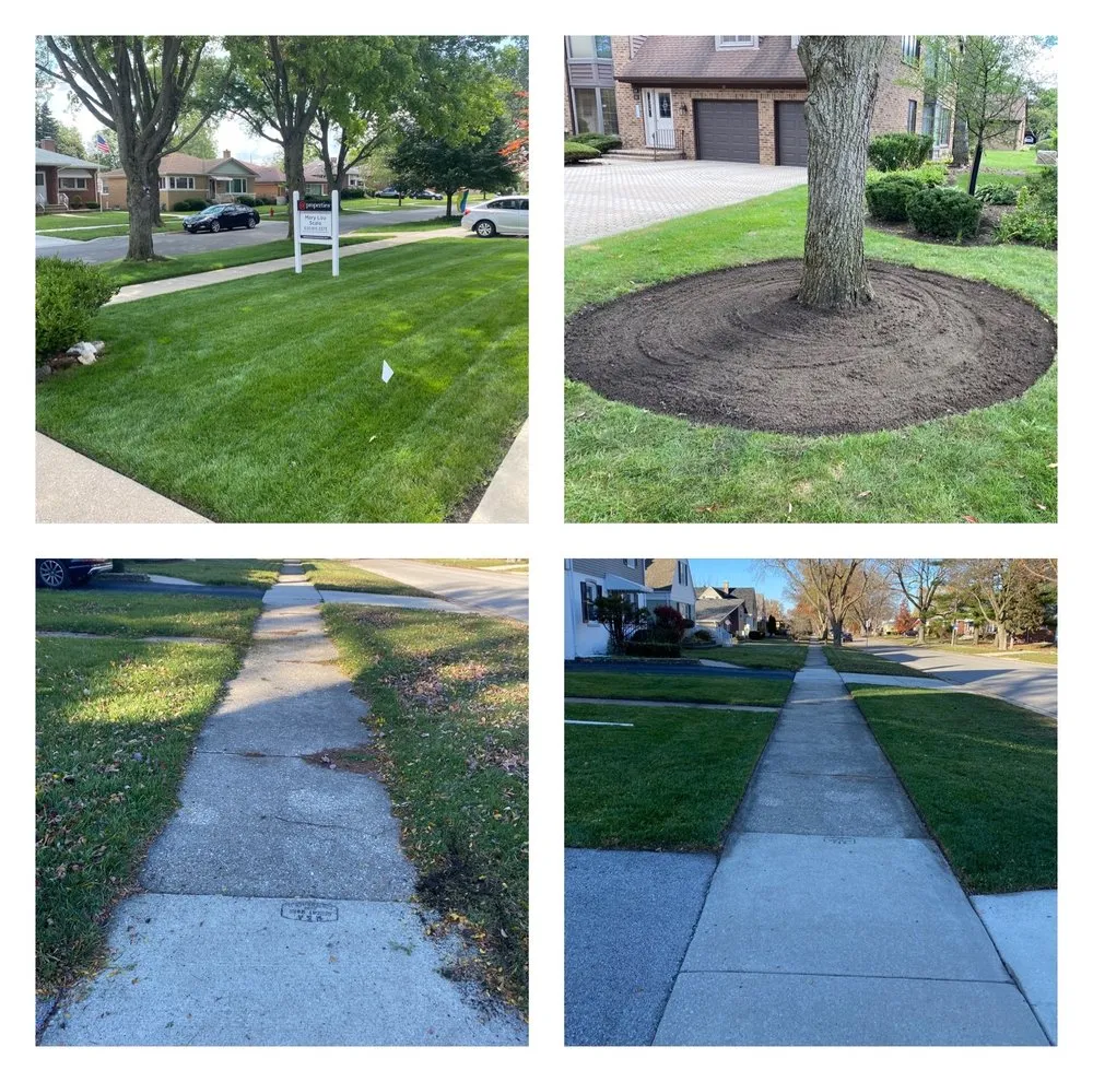 Professional garden landscaping in Westchester, IL - Z Home Services