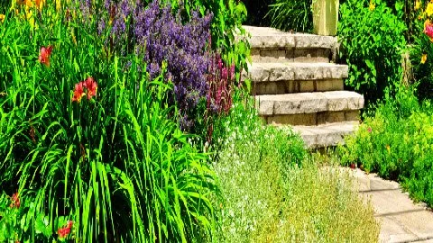 Reliable outdoor landscaping in Westworth Village, TX - Z Landscapes