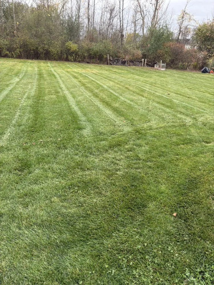 Custom lawn mowing service experts serving North Tonawanda, NY - Z Lawn Care