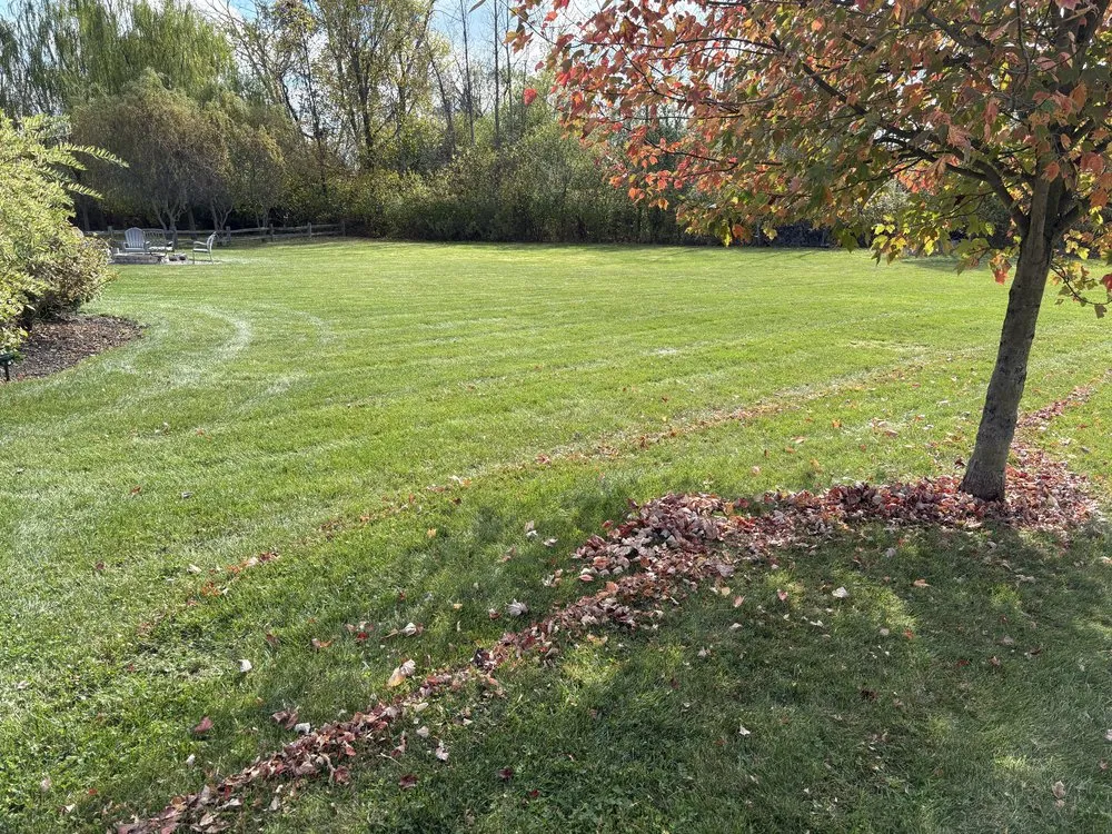 Custom residential landscaping experts serving North Tonawanda, NY - Z Lawn Care