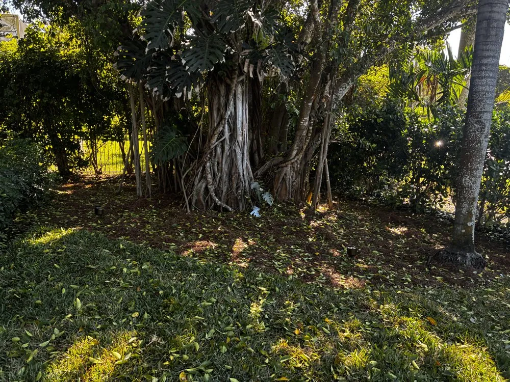 Reliable landscape design for outdoor upgrades across Cape Coral, FL - Z Line Services