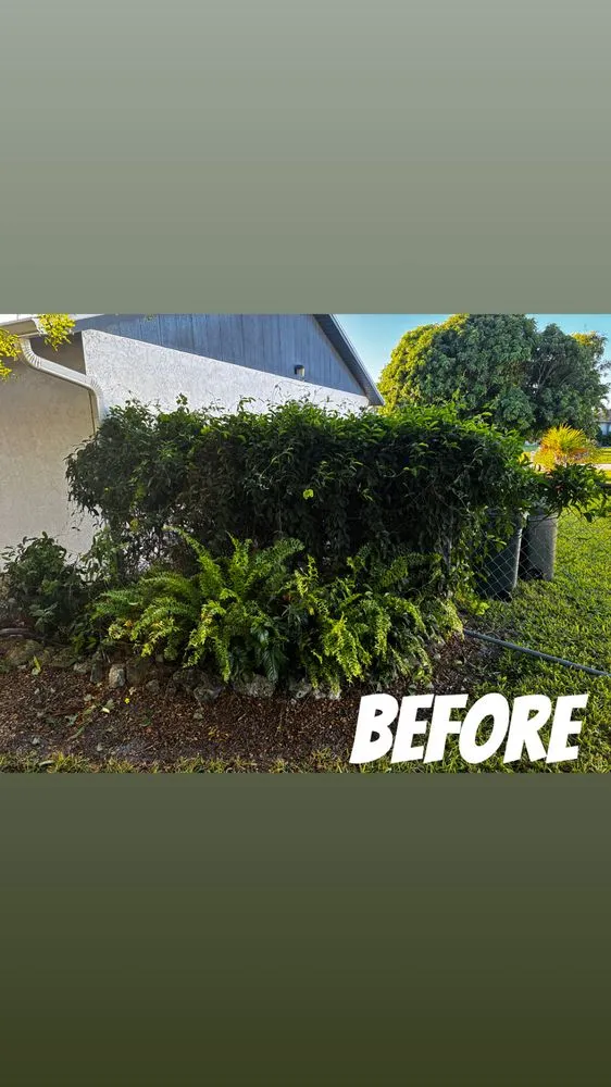 Expert garden landscaping in Cape Coral, FL by Z Line Services