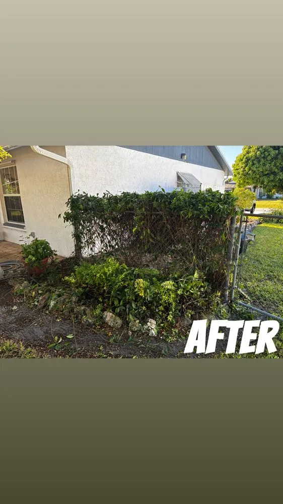 Reliable lawn care service for homes across Cape Coral, FL - Z Line Services