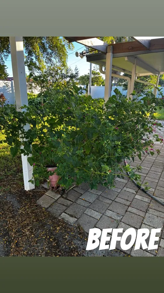 Custom lawn care service in Cape Coral, FL by Z Line Services