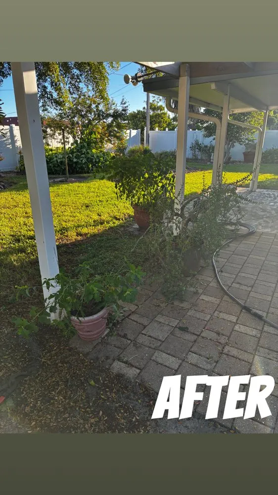 Professional landscaping services near you in Cape Coral, FL by Z Line Services