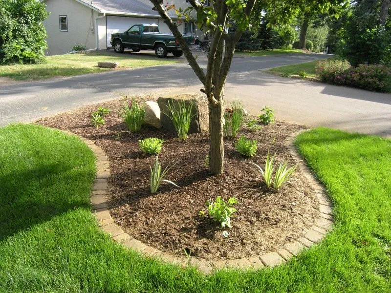 Affordable yard cleanup service near you in Cape Coral, FL by Z Line Services