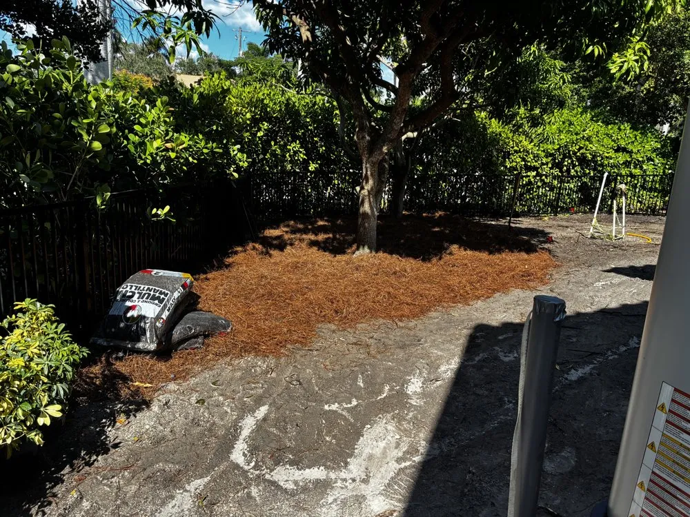 Expert outdoor landscaping experts serving Cape Coral, FL - Z Line Services