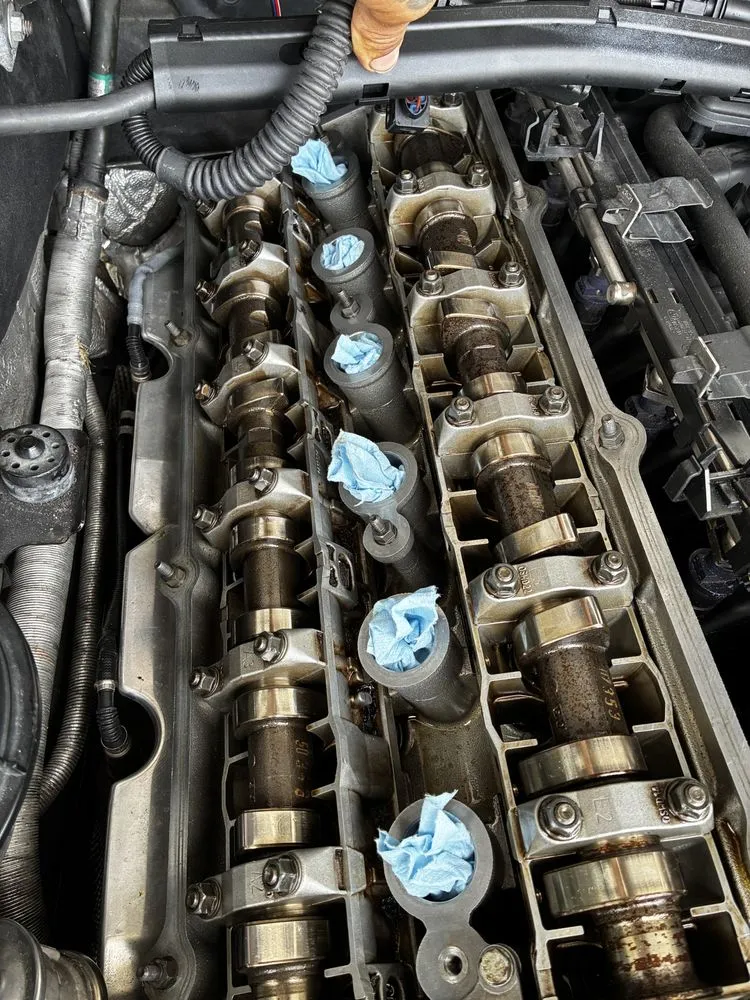 Expert residential landscaping experts serving Cape Coral, FL - Z Line Services