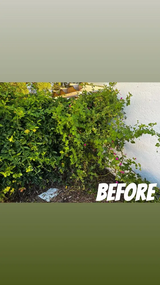 Custom residential landscaping in Cape Coral, FL by Z Line Services