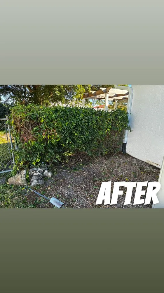 Local landscape design in Cape Coral, FL - Z Line Services