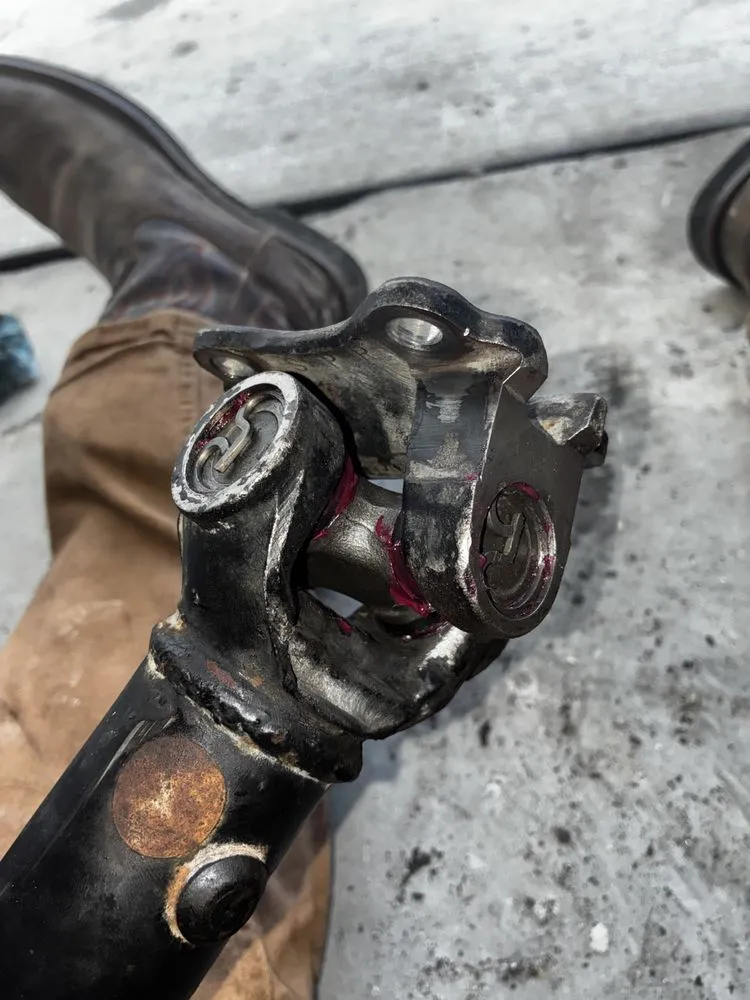 Local lawn mowing service for year-round maintenance in Cape Coral, FL by Z Line Services