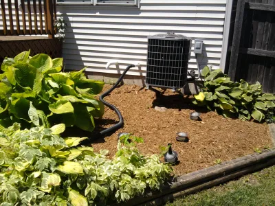 Custom yard cleanup service in Naperville, IL - Z-Scape Landscaping