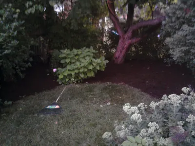 Affordable landscaping services for beautiful yards in Naperville, IL by Z-Scape Landscaping