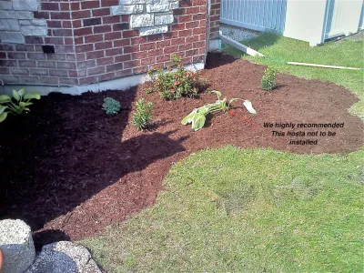 Reliable lawn mowing service with custom design in Naperville, IL by Z-Scape Landscaping