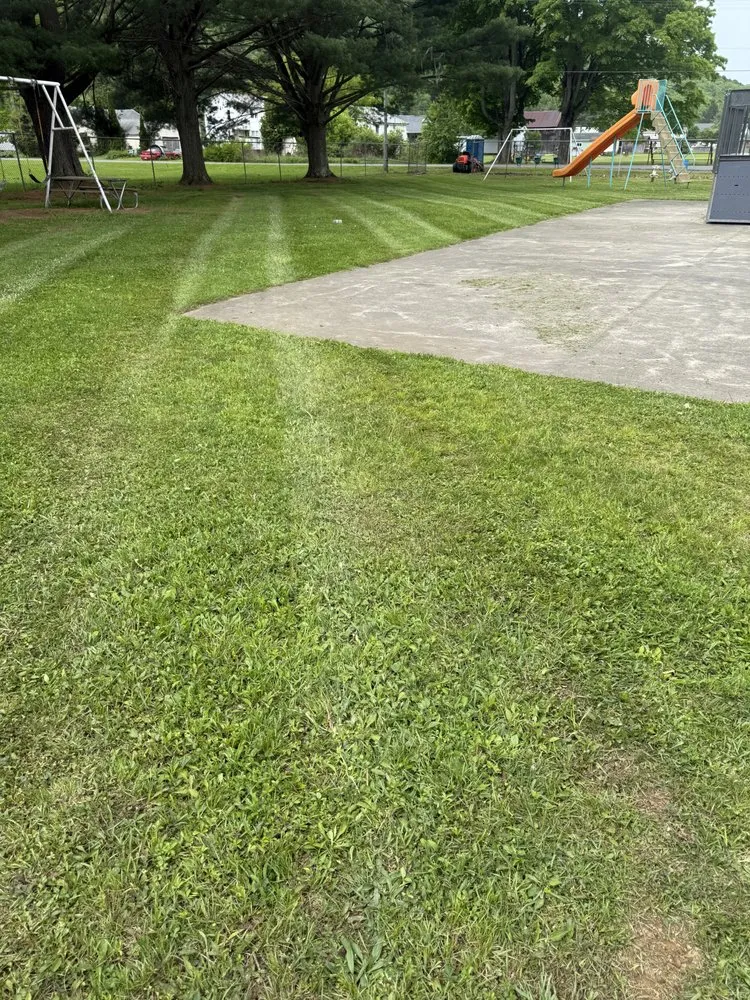 Professional landscaping services experts serving Roulette, PA - Z1 lawn & landscape