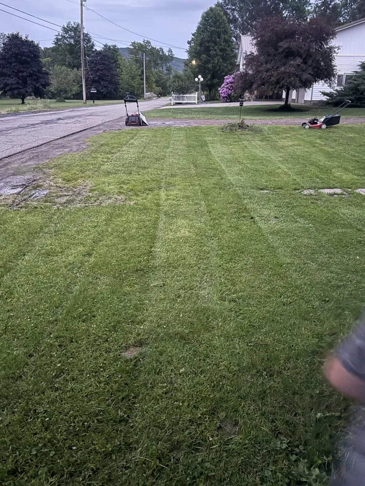 Top-rated residential landscaping in Roulette, PA - Z1 lawn & landscape