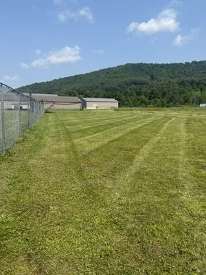 Z1 lawn & landscape