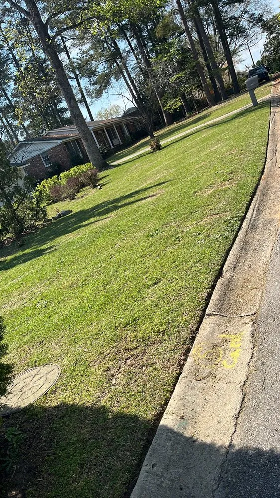 Custom yard maintenance with custom design across Columbia, SC - ZA Landscaping