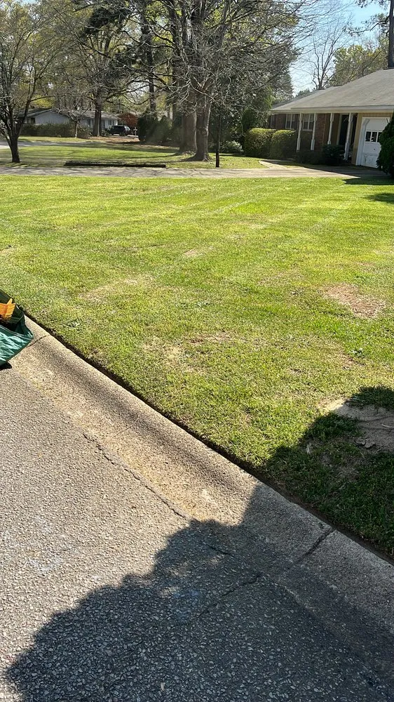 Trusted yard cleanup service experts serving Columbia, SC - ZA Landscaping