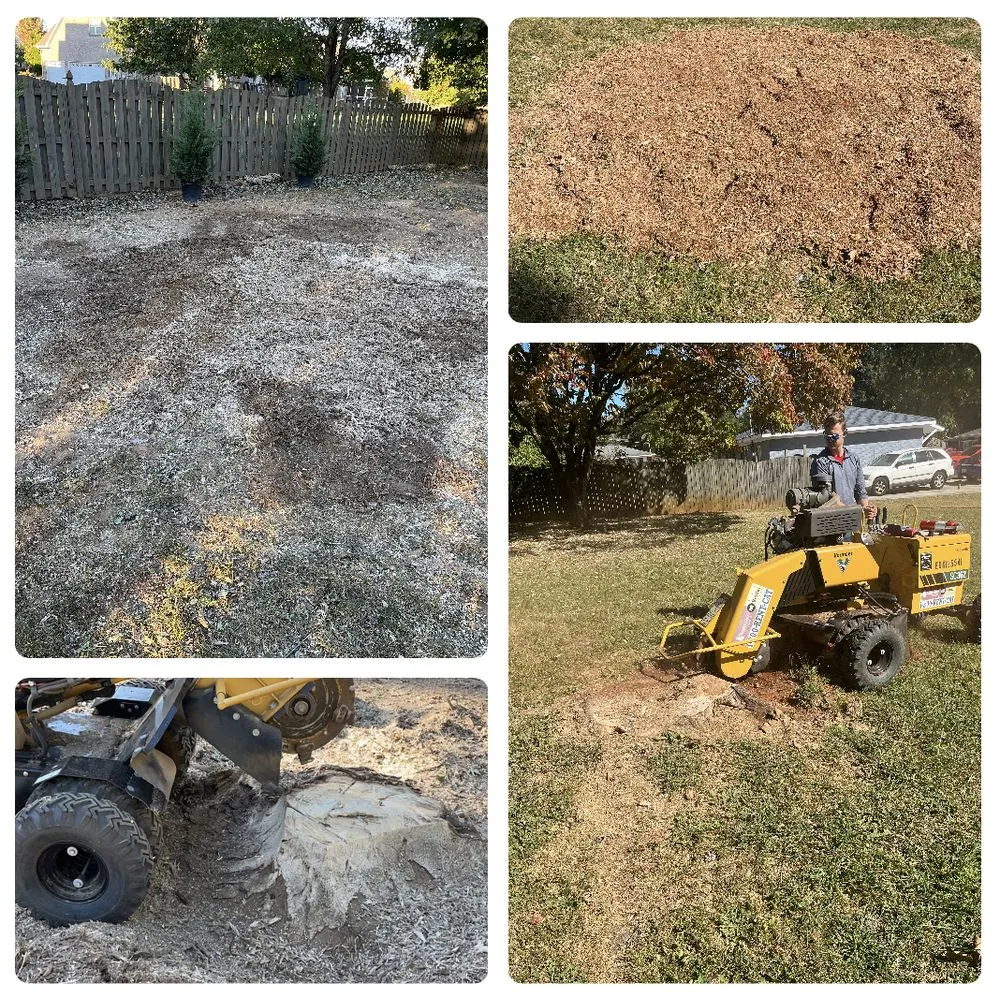 Custom landscaping services in Madison, AL - ZA Services