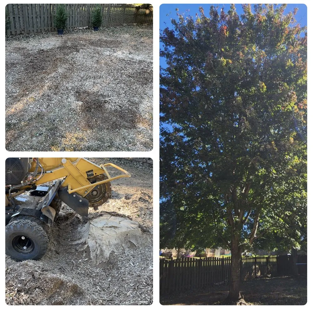 Expert yard maintenance for homes across Madison, AL - ZA Services