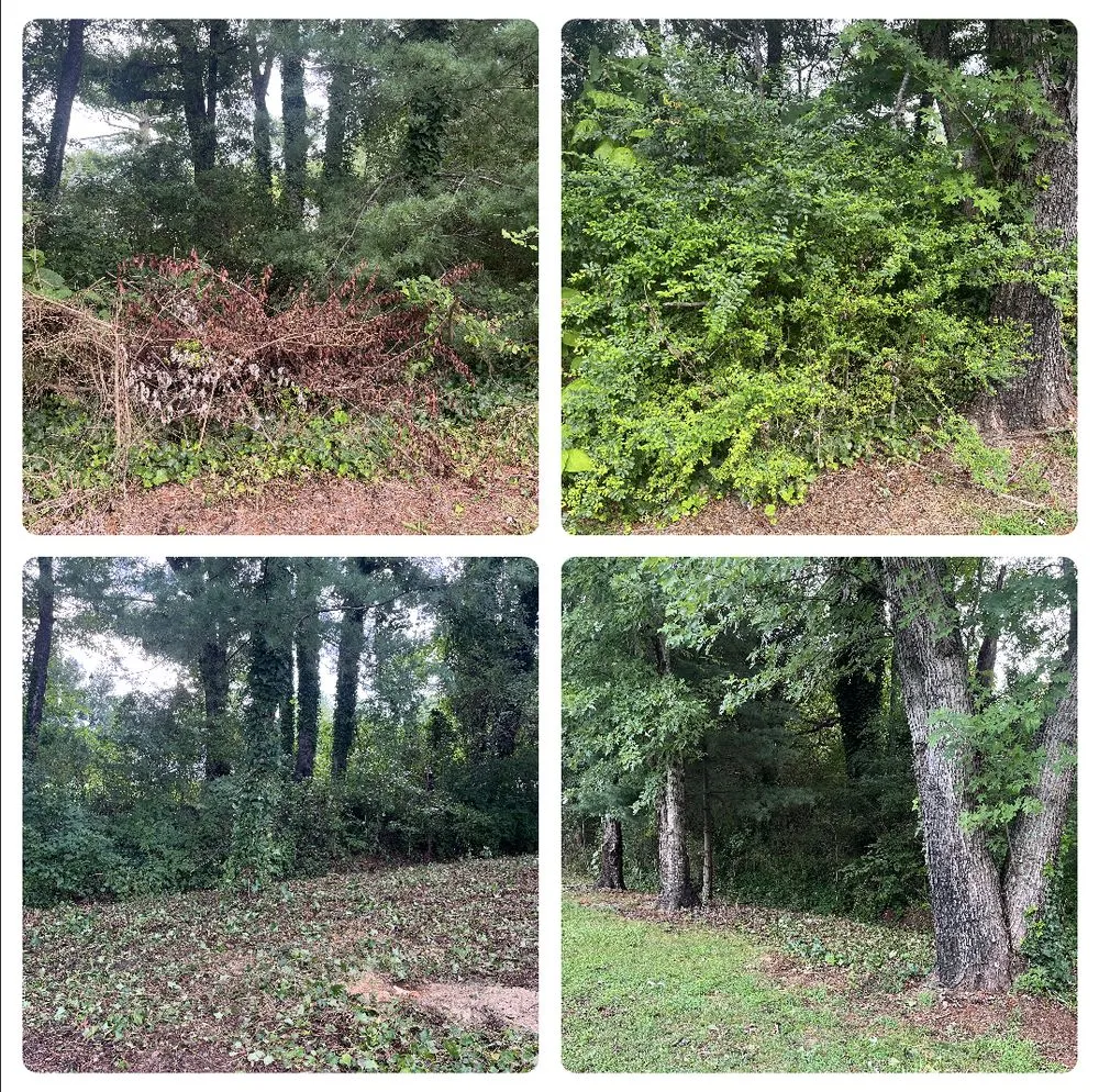 Custom lawn care service in Madison, AL by ZA Services