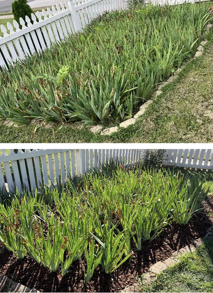 Expert landscape installation in Madison, AL - ZA Services