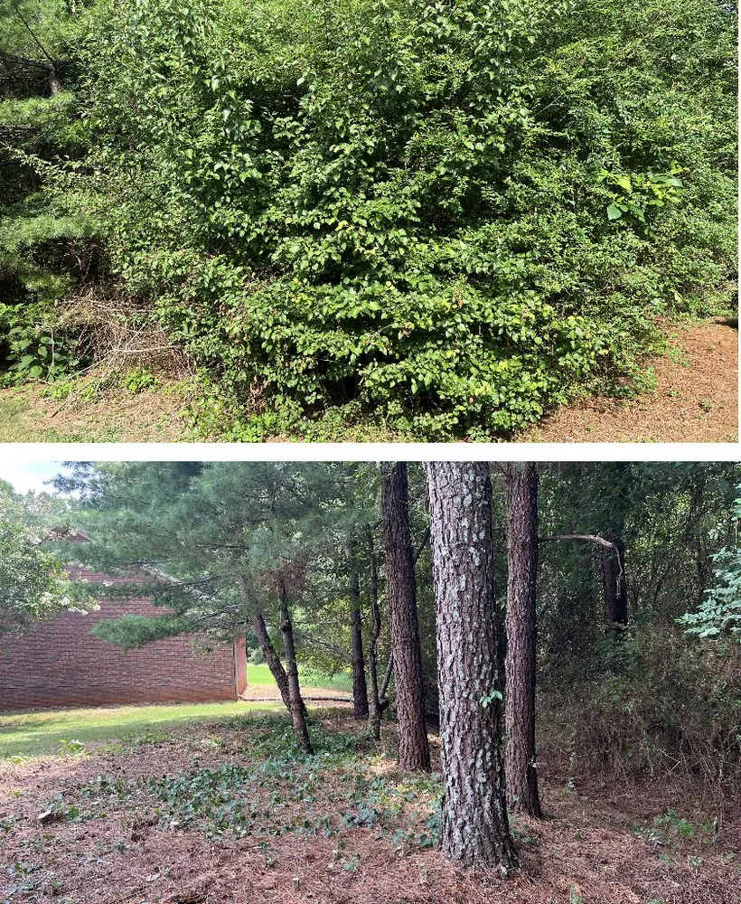 Reliable yard maintenance for year-round maintenance across Madison, AL - ZA Services