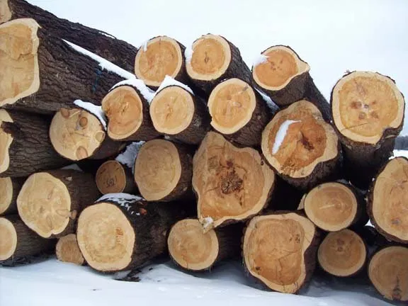 Affordable landscape installation with custom design in New London, WI by Zabel's Sawmill