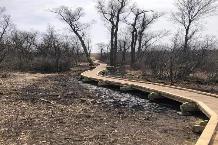 Top-rated landscaping services in New London, WI by Zabel's Sawmill