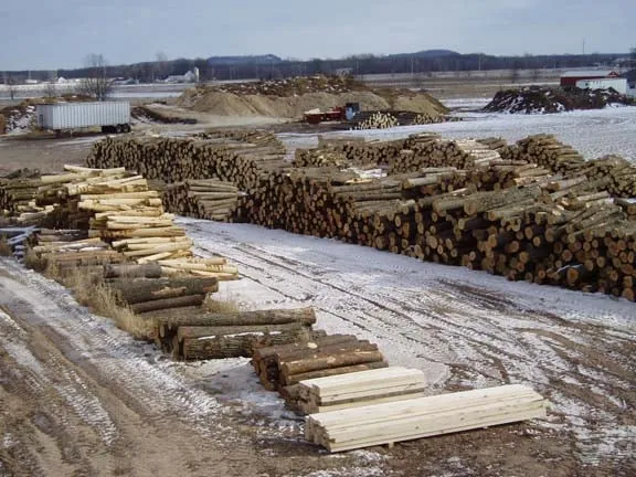 Reliable outdoor landscaping for beautiful yards in New London, WI by Zabel's Sawmill