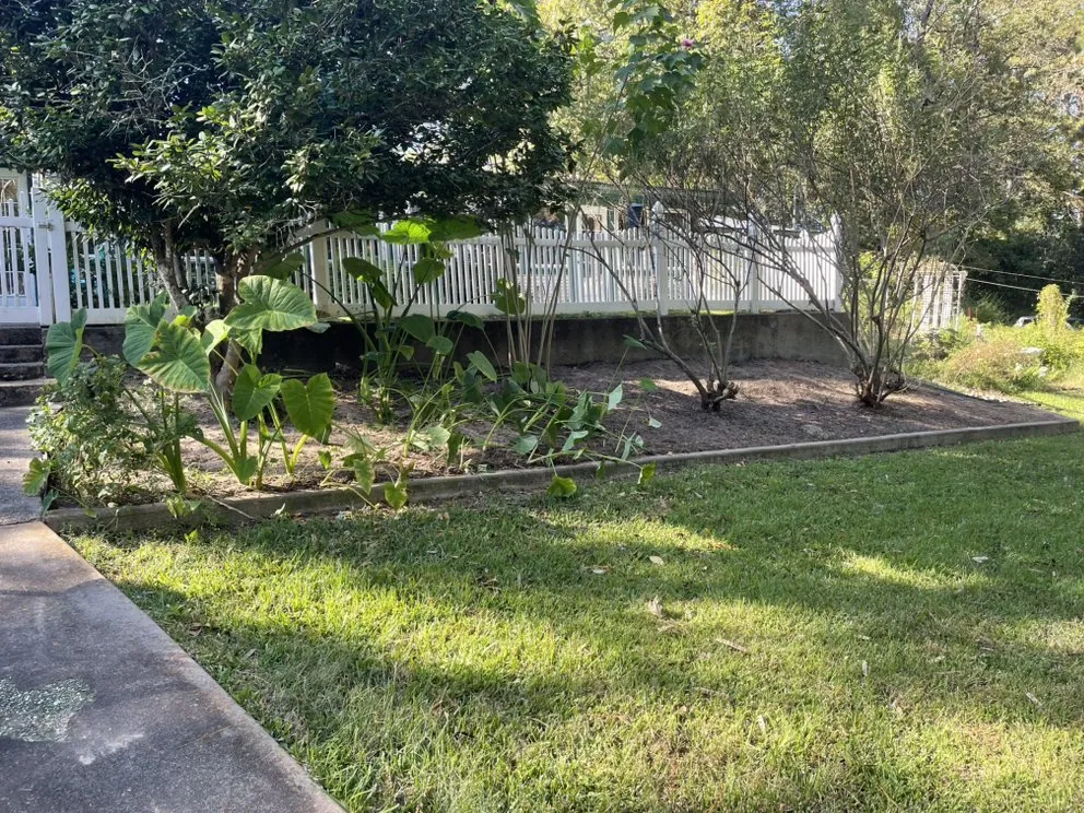 Local landscape design in Woodville, TX by Zac Attack lawn service