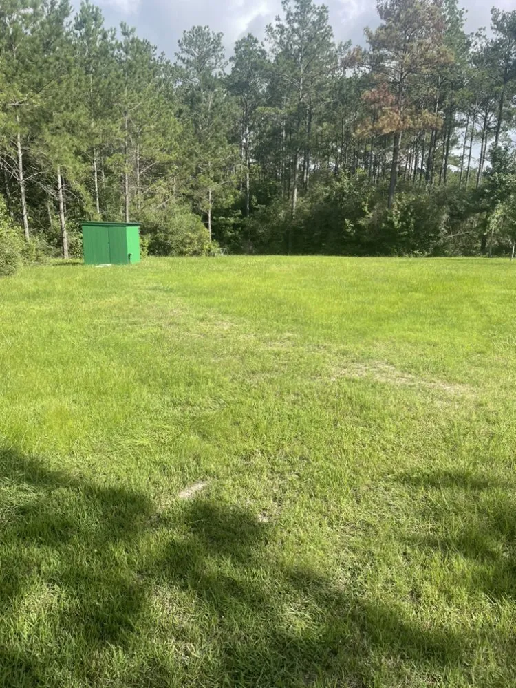 Affordable landscaping services experts serving Woodville, TX - Zac Attack lawn service