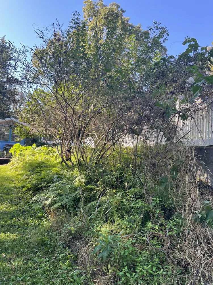 Expert garden landscaping in Woodville, TX by Zac Attack lawn service