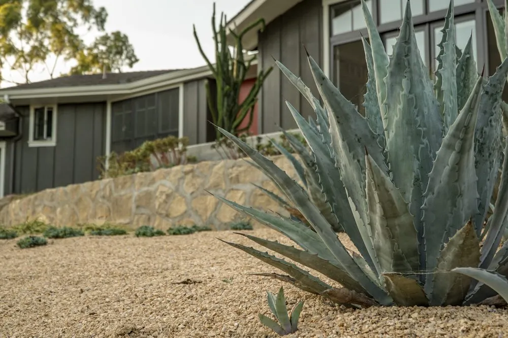 Local lawn care service in Santa Barbara, CA - Zac Gonzalez Landscaping