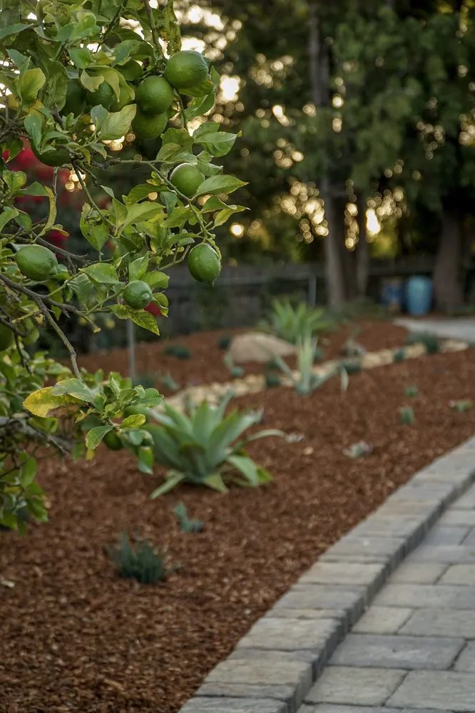 Reliable yard cleanup service near you in Santa Barbara, CA by Zac Gonzalez Landscaping