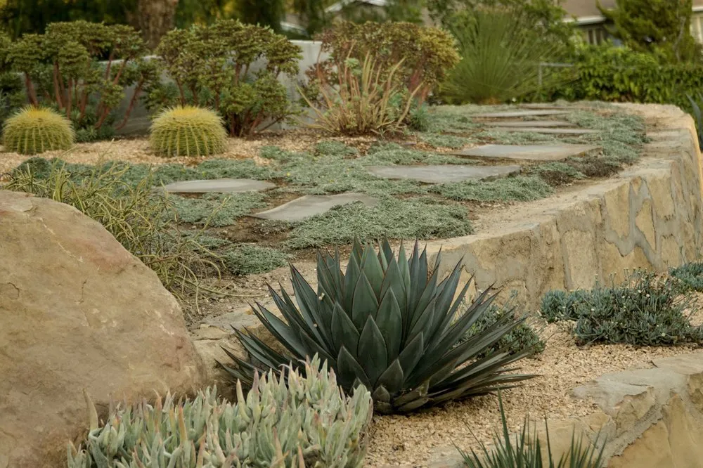 Trusted lawn mowing service in Santa Barbara, CA by Zac Gonzalez Landscaping