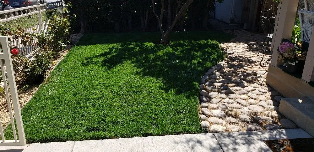Professional landscape installation for beautiful yards across Santa Barbara, CA - Zac Gonzalez Landscaping