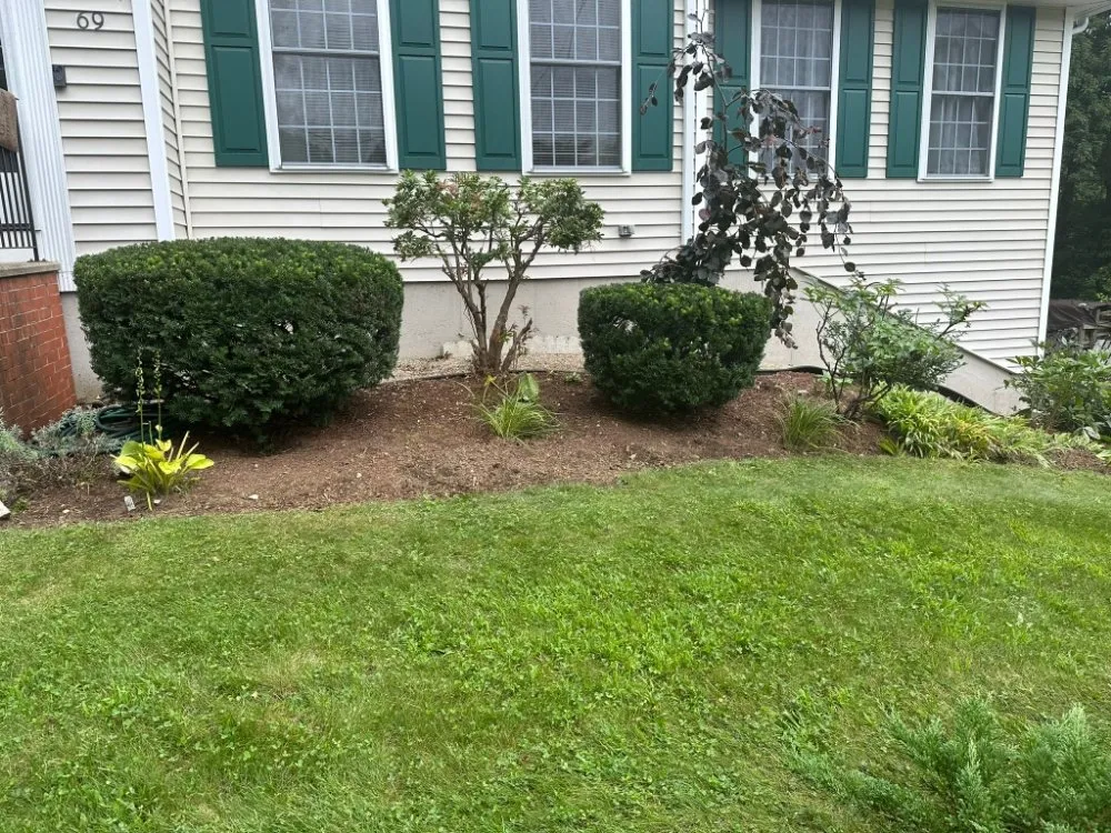 Professional yard cleanup service in Lawrence, MA by Zacarias Brothers Landscaping & Hardscape