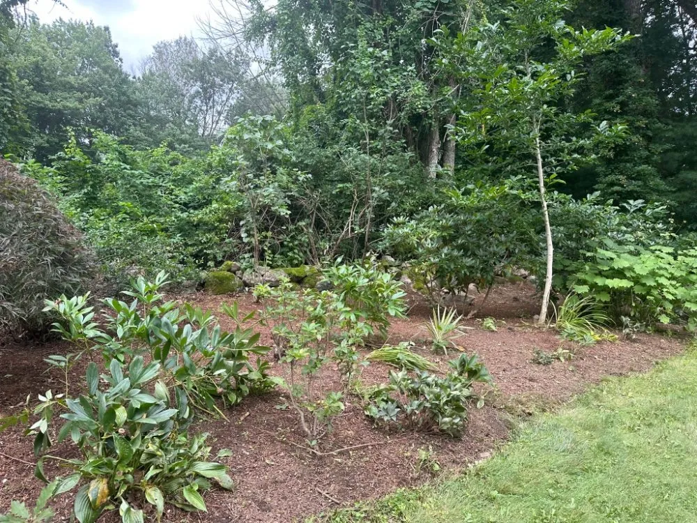 Trusted lawn care service for residential properties across Lawrence, MA - Zacarias Brothers Landscaping & Hardscape