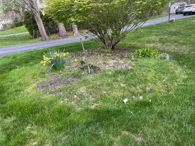 Local landscape design for year-round maintenance in Lawrence, MA by Zacarias Brothers Landscaping & Hardscape