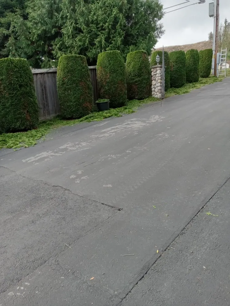 Reliable landscaping services in Poulsbo, WA by Zacarias Landscape