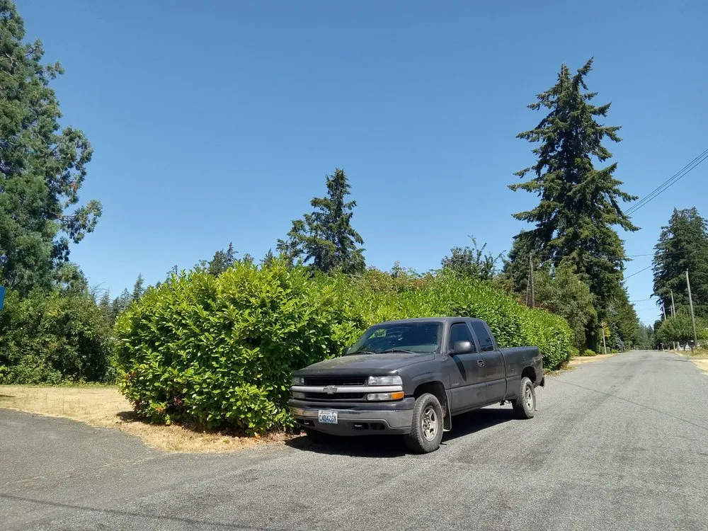 Custom yard cleanup service in Poulsbo, WA by Zacarias Landscape