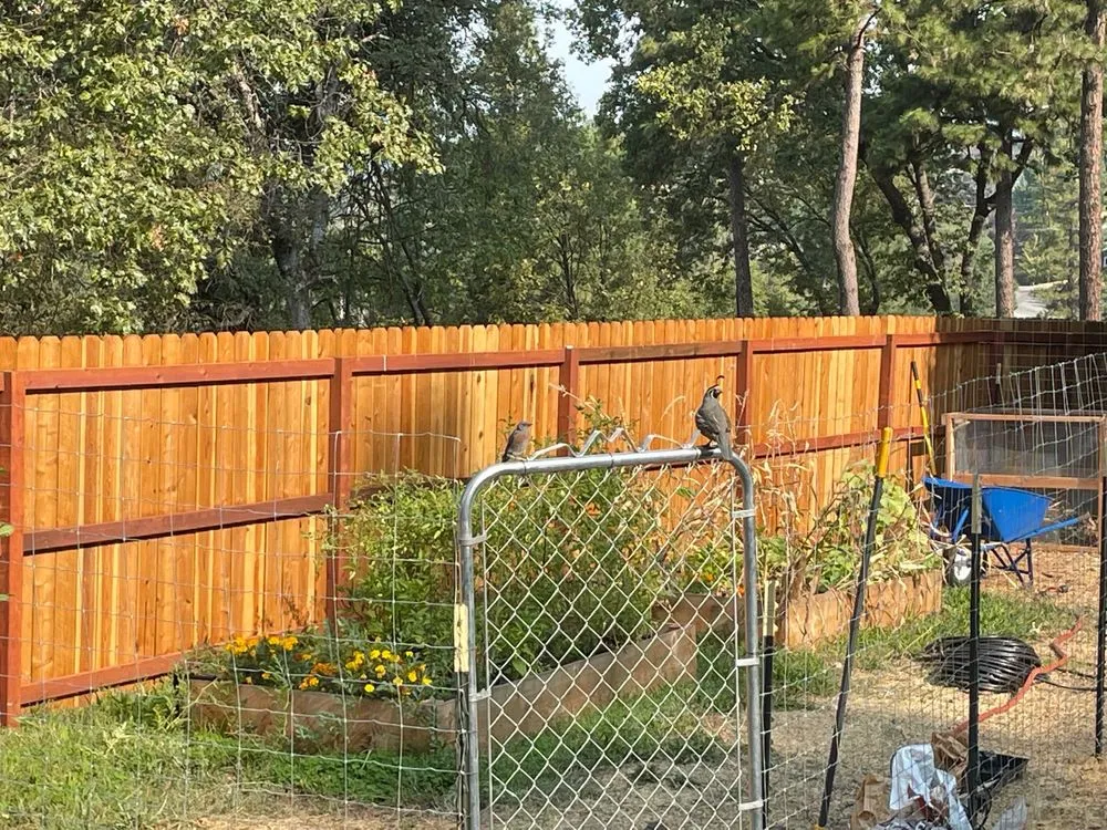 Local yard cleanup service for residential properties across Rocklin, CA - Zacarias Landscape Services