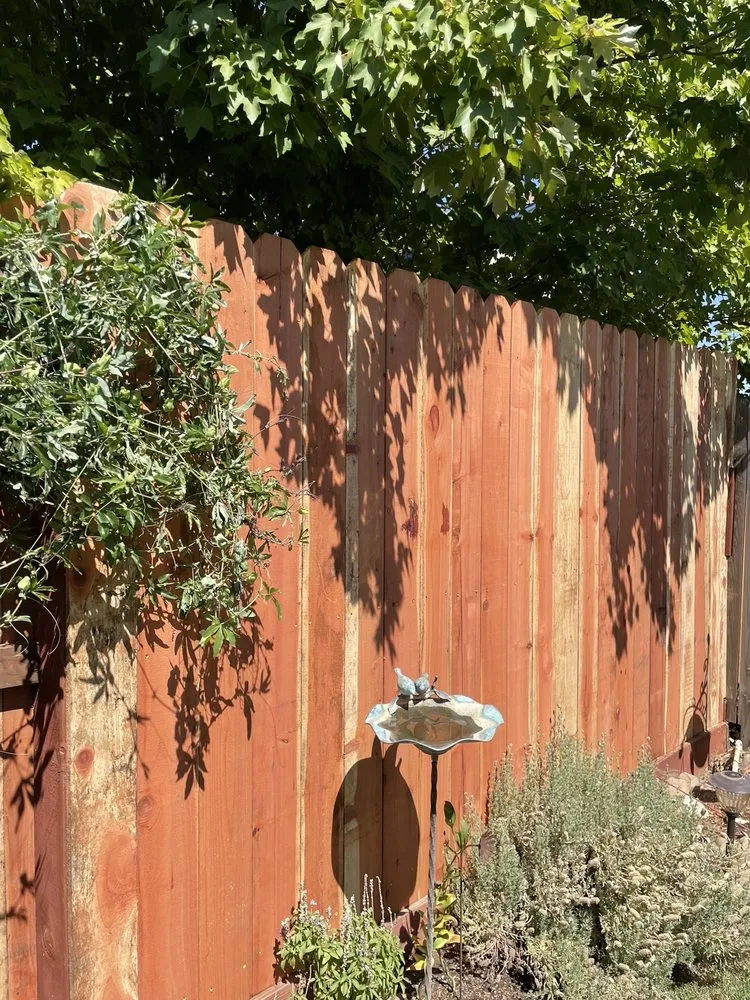 Top-rated outdoor landscaping in Rocklin, CA - Zacarias Landscape Services