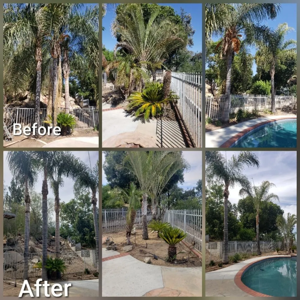 Custom yard maintenance with custom design in Perris, CA by Zacarias Landscaping