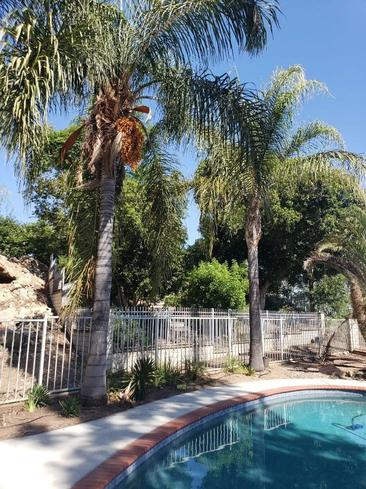 Local landscaping services with custom design across Perris, CA - Zacarias Landscaping