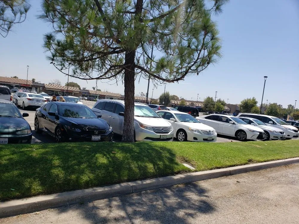 Top-rated yard cleanup service for outdoor upgrades in Perris, CA by Zacarias Landscaping