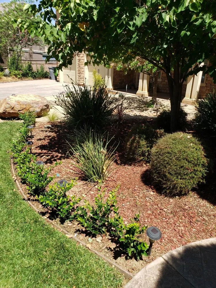 Professional residential landscaping with custom design across Perris, CA - Zacarias Landscaping