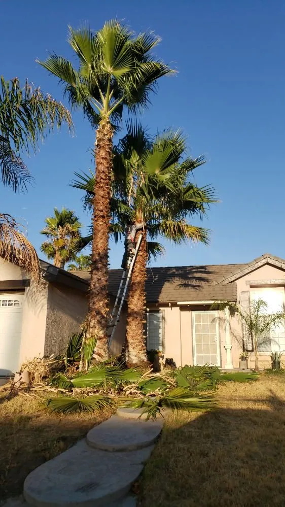 Reliable landscaping services experts serving Perris, CA - Zacarias Landscaping